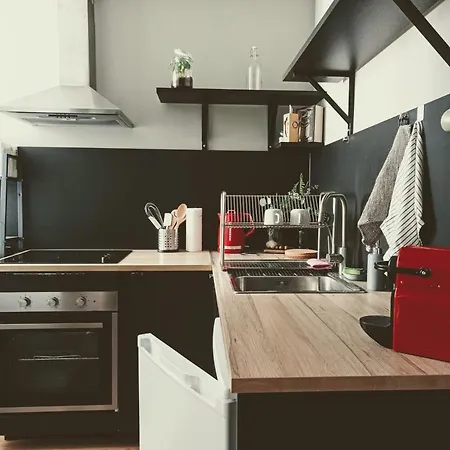 Diseno Y Comodidad En El Corazon De Dijon Appartement *